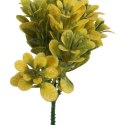 Bukszpan Dekoracyjny Żółto-Zielony Wygląd Naturalny 19 cm