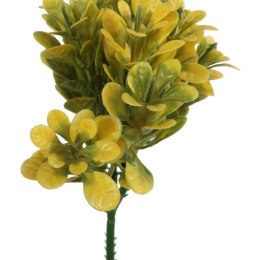 Bukszpan Dekoracyjny Żółto-Zielony Wygląd Naturalny 19 cm