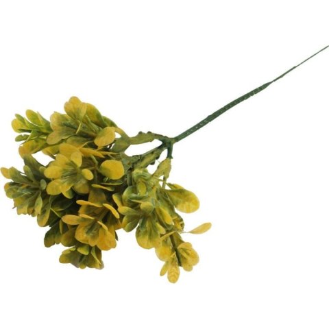 Bukszpan Dekoracyjny Żółto-Zielony Wygląd Naturalny 19 cm