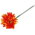 GERBERA KWIAT POJEDYNCZY KOLOR POMARAŃCZOWY III