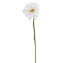 Gerbera Biała Dekoracyjna o Realistycznym Wyglądzie - 55 cm