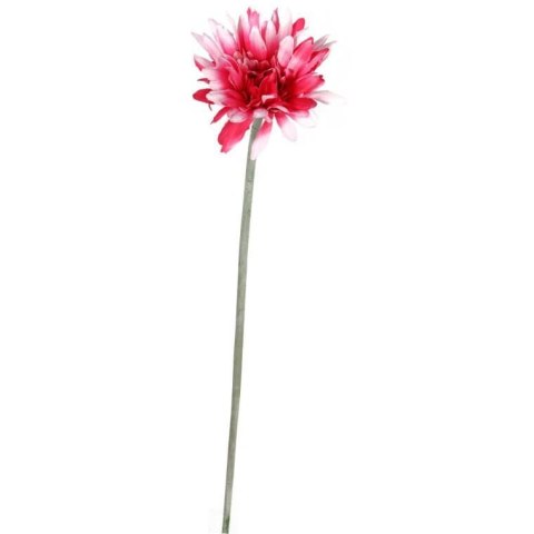 Gerbera Dekoracyjna Wysokiej Jakości w Kolorze Biało-Różowym, 55 cm