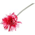 Gerbera Dekoracyjna Wysokiej Jakości w Kolorze Biało-Różowym, 55 cm