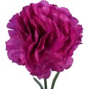 Goździk pojedynka w kolorze fioletowym 54 cm