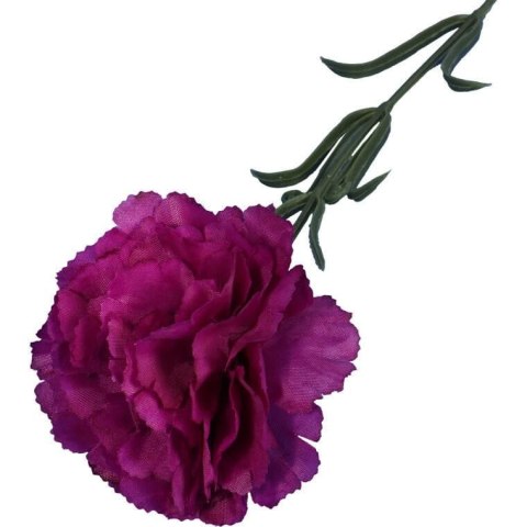 Goździk pojedynka w kolorze fioletowym 54 cm