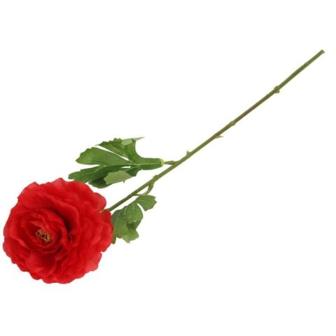 KACZENIEC KWIAT POJEDYNCZY KOLOR CZERWONY