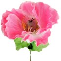 Mak Dekoracyjny Różowy Naturalnej Aury 54 cm