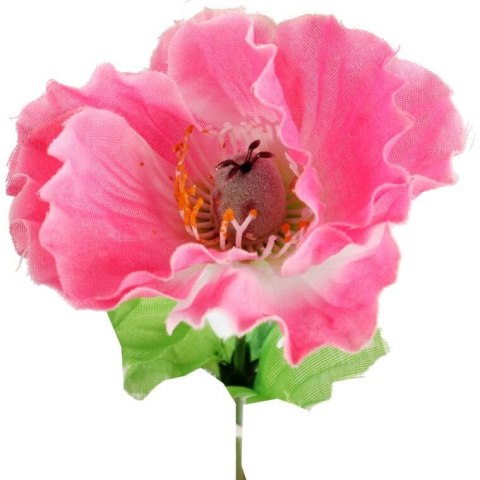 Mak Dekoracyjny Różowy Naturalnej Aury 54 cm
