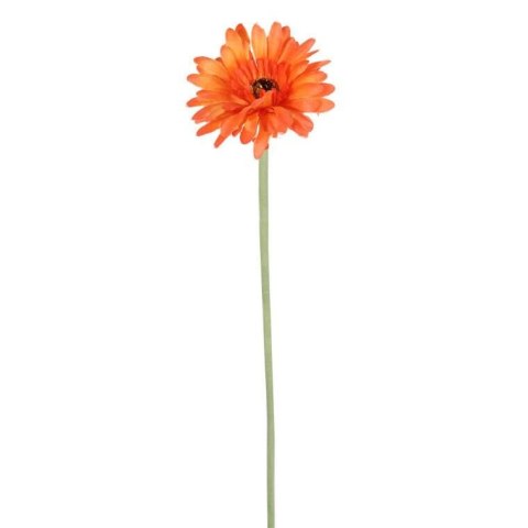 Pojedynczy Kwiat Gerbera w Kolorze Pomarańczowym o Wysokości 55 cm - Dekoracja do Wnętrz