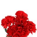 Sztuczne Goździki w Kolorze Czerwonym - Bukiet 7 Sztuk, 32 cm Wysokości