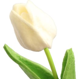 TULIPAN GUMOWANY POJEDYNKA KOLOR BIAŁY