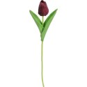 TULIPAN GUMOWANY POJEDYNKA KOLOR FIOLETOWY