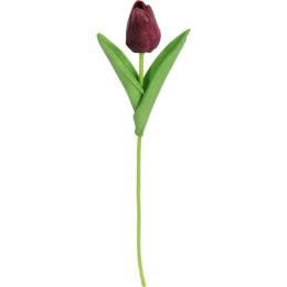 TULIPAN GUMOWANY POJEDYNKA KOLOR FIOLETOWY