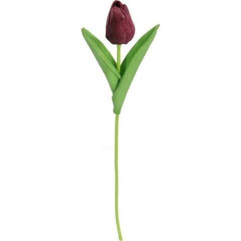TULIPAN GUMOWANY POJEDYNKA KOLOR FIOLETOWY