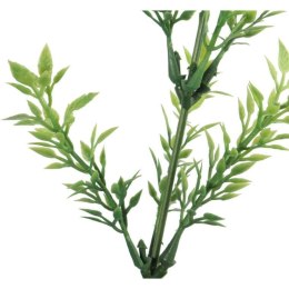 TYMIANEK GAŁĄZKA ZIEOLNA 57 CM