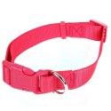 Wytrzymała Obroża dla Zwierząt w Kolorze Różowym