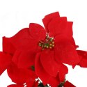 BUKIET 5 POINSENCJI WELUROWYCH 52 CM CZERWONYCH