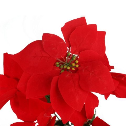 BUKIET 5 POINSENCJI WELUROWYCH 52 CM CZERWONYCH