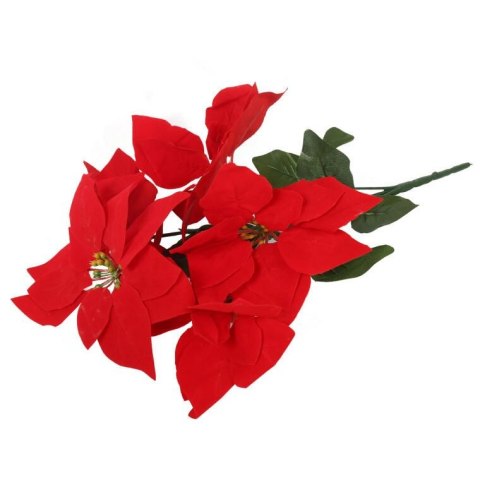 BUKIET 5 POINSENCJI WELUROWYCH 52 CM CZERWONYCH