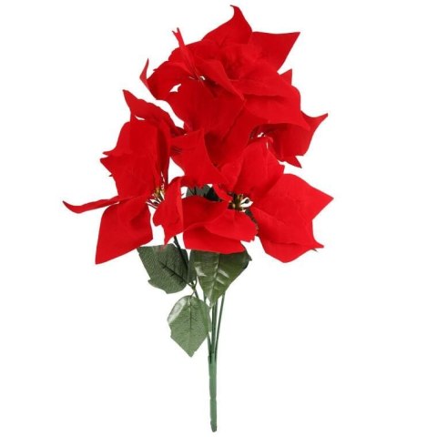BUKIET 6 POINSECJI WELUROWYCH 52 cm KOLOR CZERWONY