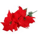 BUKIET 6 POINSECJI WELUROWYCH 52 cm KOLOR CZERWONY