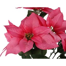 BUKIET 6 POINSECJI WELUROWYCH 56 cm KOLOR RÓŻOWY