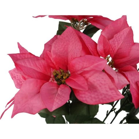 BUKIET 6 POINSECJI WELUROWYCH 56 cm KOLOR RÓŻOWY