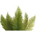 Bukiet Sztucznej Paproci 15 Gałązek - Jest jak Żywa, Wysokość 43 cm, Kolor: Zielony