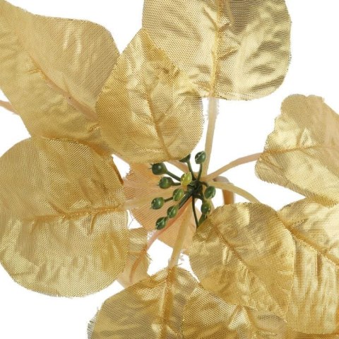 Kwiat pojedynczy Gwiazda Betlejemska Poinsencja 57 cm złota