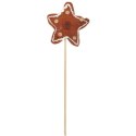 Pik GWIAZDA PIERNIKOWA filcowa w kolorze brązowym