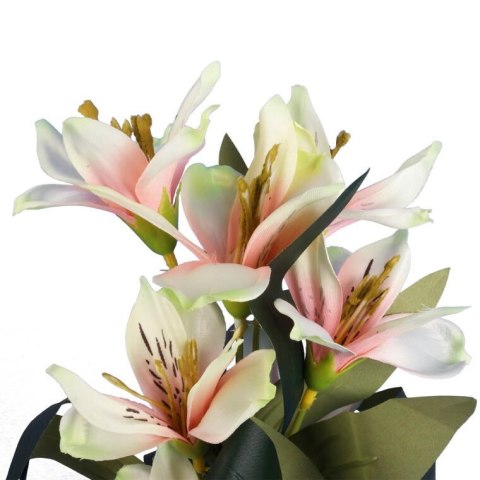 AZALIA GAŁĄZKA 7 KWIATÓW KOLOR KREMOWO RÓŻOWY