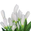 BUKIET 21 KROKUSÓW 36 CM KOLOR BIAŁY