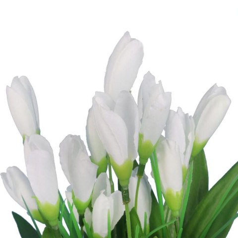 BUKIET 21 KROKUSÓW 36 CM KOLOR BIAŁY BUKIET 21 KROKUSÓW 36 CM KOLOR BIAŁY