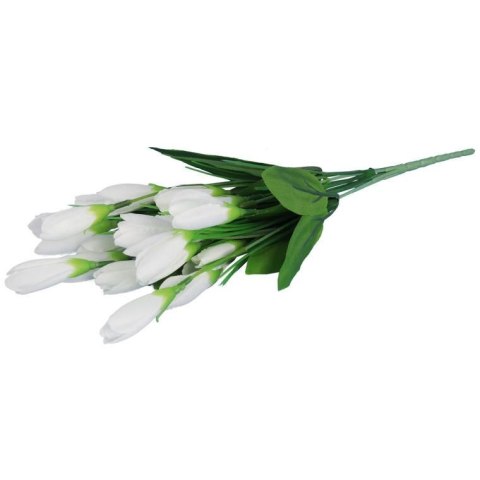 BUKIET 21 KROKUSÓW 36 CM KOLOR BIAŁY BUKIET 21 KROKUSÓW 36 CM KOLOR BIAŁY