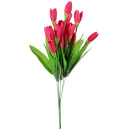 BUKIET 21 KROKUSÓW 36 CM KOLOR CIEMNY RÓŻ