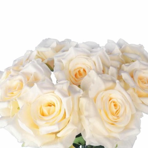 BUKIET 9 RÓŻ 48 CM KOLOR KREMOWY