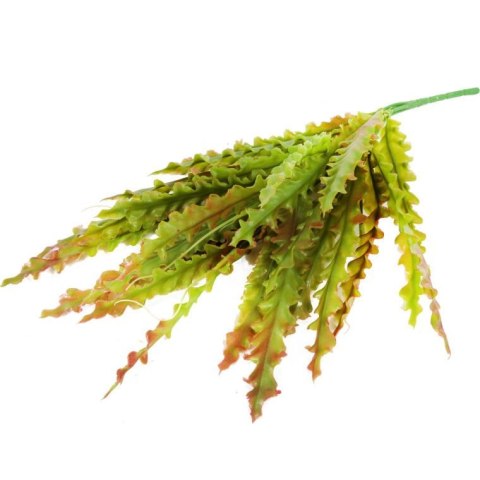BUKIET PAPROCI 45 CM CIENIOWANE