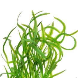 BUKIET WODOROSTÓW 46 CM ZIELONY