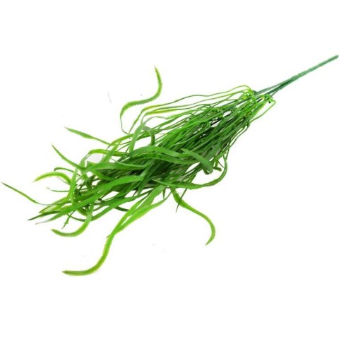 BUKIET WODOROSTÓW 46 CM ZIELONY