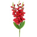 Bukiet 5 czerwonych Gladioli o Wysokości 60 cm