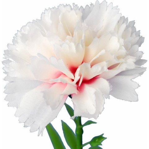 GOŹDZIK kwiat pojedynczy 30 CM KOLOR RÓŻOWY