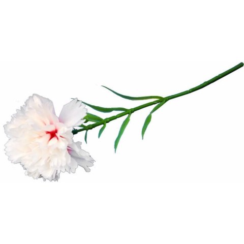 GOŹDZIK kwiat pojedynczy 30 CM KOLOR RÓŻOWY