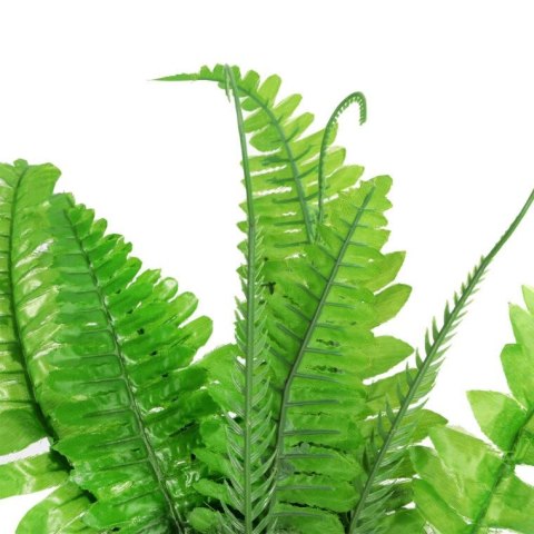 PAPROĆ BUKIET Z WĄSAMI 44 CM