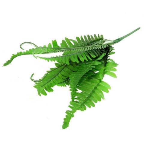 PAPROĆ BUKIET Z WĄSAMI 44 CM