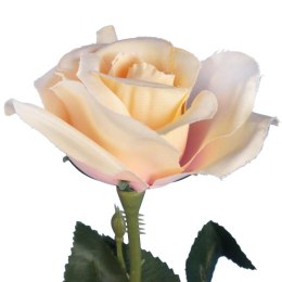 RÓŻA 62 cm KOLOR KREMOWY