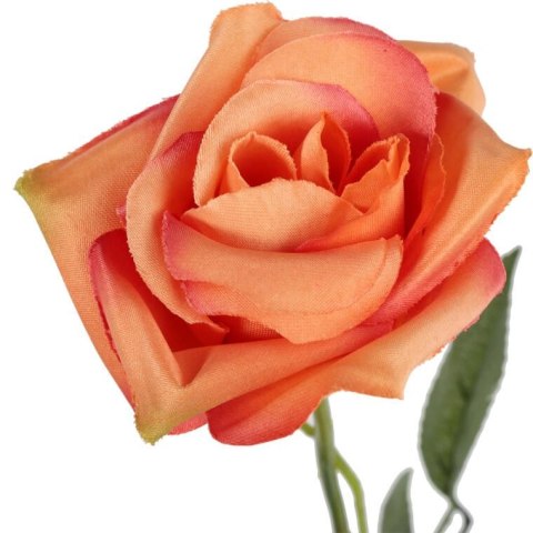 RÓŻA 62 cm KOLOR POMARAŃCZOWY