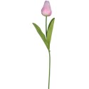 TULIPAN POJEDYNKA KOLOR JASNO RÓŻOWY