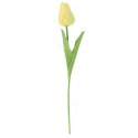 TULIPAN POJEDYNKA KOLOR ŻÓŁTY