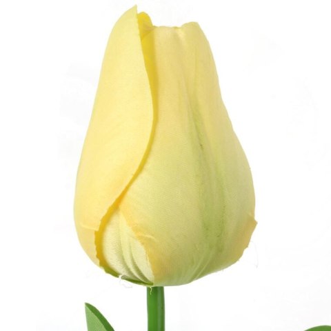 TULIPAN POJEDYNKA KOLOR ŻÓŁTY