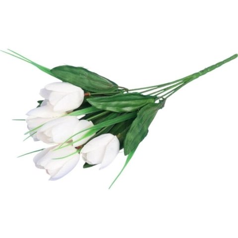Bukiet 6 TULIPANÓW z trawką 34 cm BIAŁY Bukiet 6 TULIPANÓW z trawką 34 cm BIAŁY